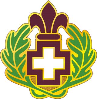 Coat of arms (crest) of the 344th Combat Support Hospital, US Army