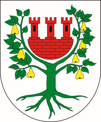 Arms of Międzychód