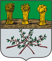 Arms of Krasnoslobodsk (Mordovia)