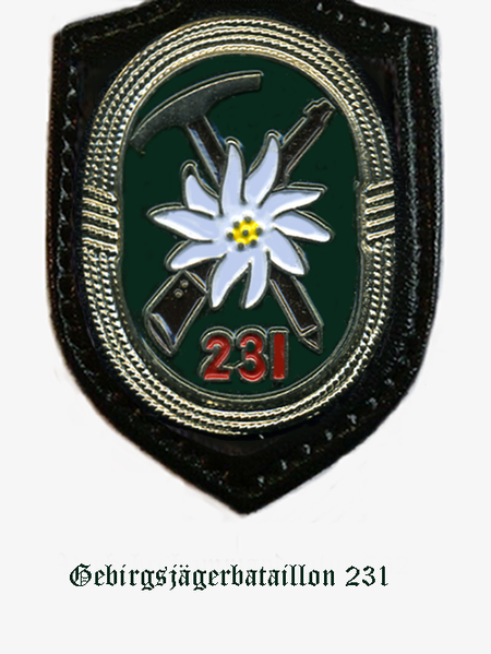 File:Mountain Jaeger Battalion 231, German Army.png