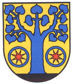 Wappen von Edemissen/Arms of Edemissen