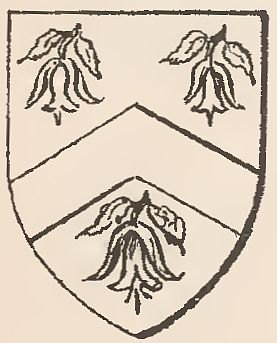Arms of Timothy Hall