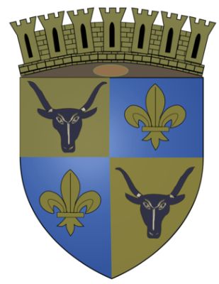 Arms of Antananarivo