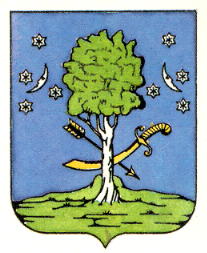 Arms of Berezna