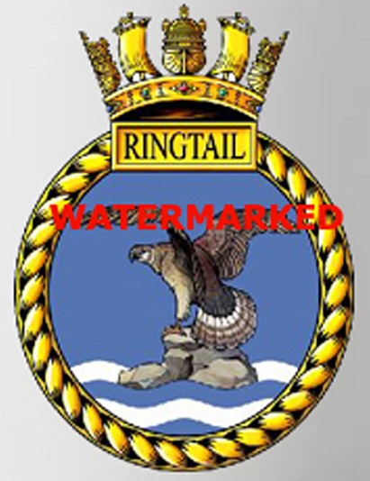 File:HMS Ringtail, Royal Navy.jpg