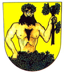 Arms of Město Albrechtice