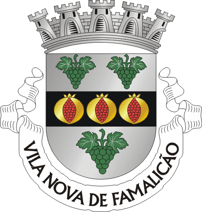 Brasão de Vila Nova de Famalicão (city)