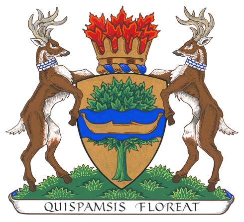 Arms (crest) of Quispamsis