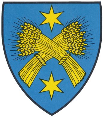 Arms of Salins (Wallis)