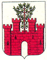 Arms of Sudova Vyshnia