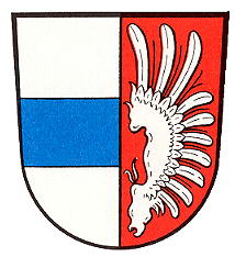 Wappen von Wölsauerhammer