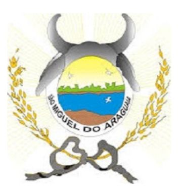 File:São Miguel do Araguaia.jpg