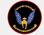 No 2 Squadron, South African Air Force.jpg