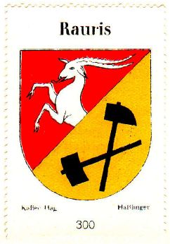 Wappen von Rauris/Coat of arms (crest) of Rauris