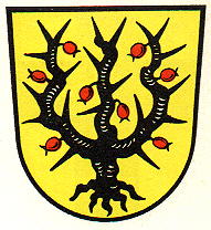 Wappen von Delbrück/Arms of Delbrück