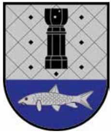 Wappen von Feldbach (Steiermark)/Arms (crest) of Feldbach (Steiermark)