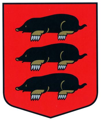 Arms of Višķi (parish)