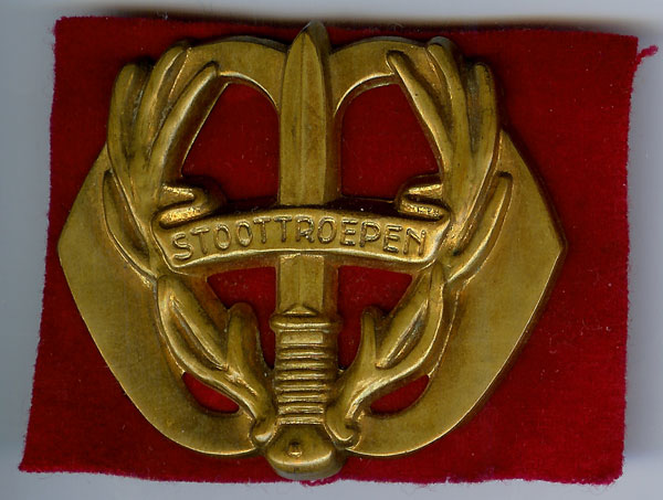 File:Regiment Stoottroepen, Netherlands Army.jpg