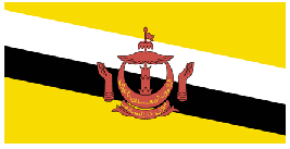 Brunei-flag.gif