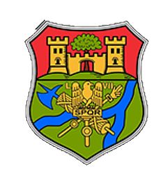 Wappen von Altenmarkt an der Alz / Arms of Altenmarkt an der Alz