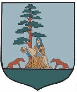 Arms of Skulsk
