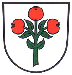 Wappen von Schwarzach/Arms (crest) of Schwarzach