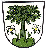 Wappen von Baumholder/Arms of Baumholder