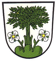 Wappen von Baumholder / Arms of Baumholder