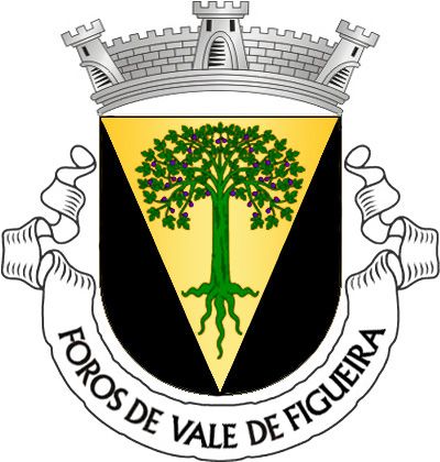 Brasão de Foros de Vale de Figueira