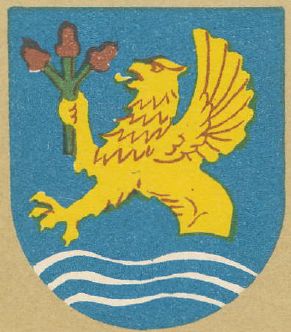 Coat of arms (crest) of Okonek