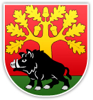 Coat of arms (crest) of Stężyca (Ryki)