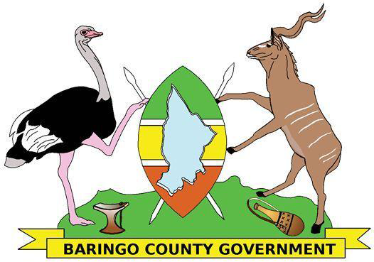 File:Baringocounty.png
