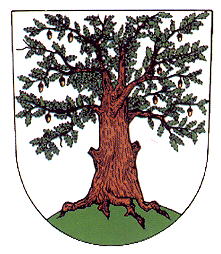 Arms of Český Dub