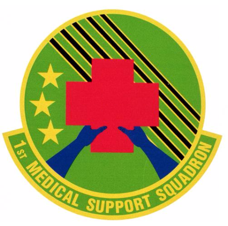 File:1st Medical Support Squadron, US Air Force.png