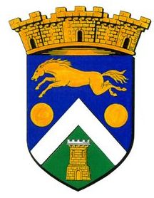Blason de Allonnes (Sarthe)/Arms of Allonnes (Sarthe)