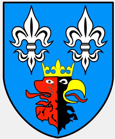 Arms of Bełchatów (county)