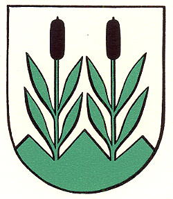 Wappen von Eggersriet/Arms of Eggersriet