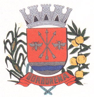 Arms of Borborema (São Paulo)