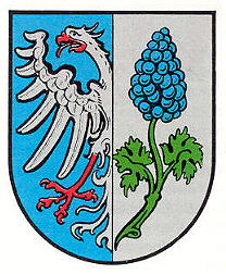 Wappen von Erpolzheim
