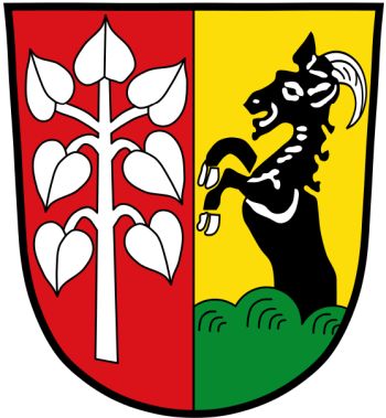 Wappen von Schwifting / Arms of Schwifting