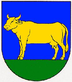 Wappen von Rinderfeld / Arms of Rinderfeld