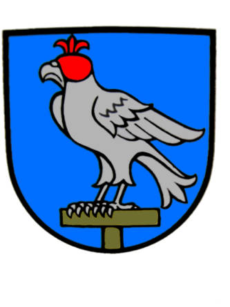 Wappen von Falkau / Arms of Falkau