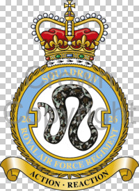 File:No 26 Squadron, Royal Air Force Regiment.jpg