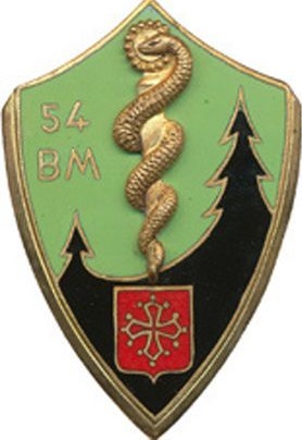Coat of arms (crest) of the 54th Medical Battalion, French Army