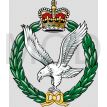 File:Army Air Corps, British Army.jpg