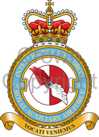 File:No 7010 (Volunteer Reserve) Intelligence Squadron, Royal Auxiliary Air Force.jpg