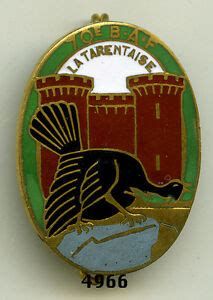 70th Alpine Fortress Battalion, French Army.jpg