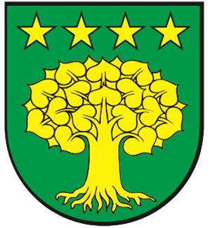 Wappen von Bözberg