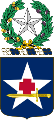 File:111th Medical Battalion, Texas Army National Guard.png