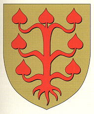 Blason de Créquy / Arms of Créquy